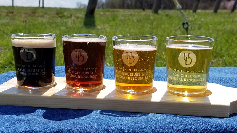 Flight of four beers outdoors