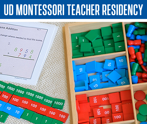 Montessori curriculum tools