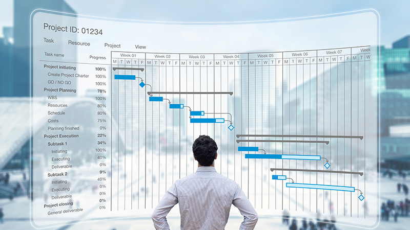 Back of man looking at project management life cycle chart