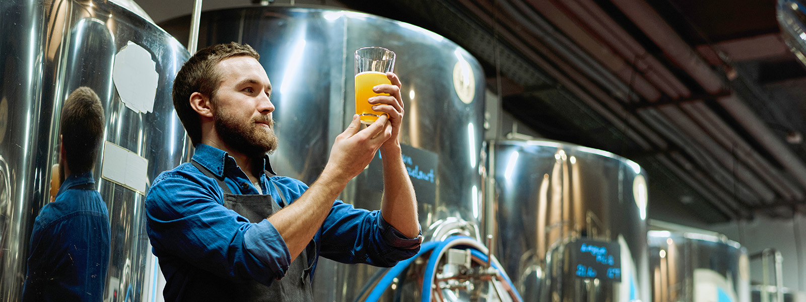 Brewmaster evaluates beer in brewery